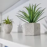Apartman Dream
